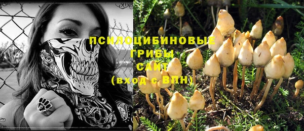 apvp Володарск