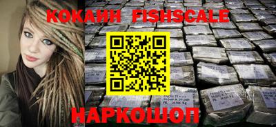 гидра Гатчина