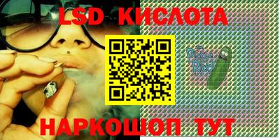 гидра Гатчина
