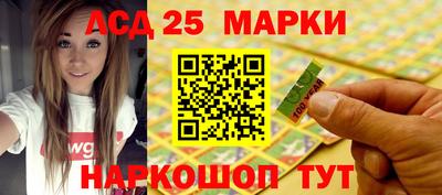 гидра Гатчина