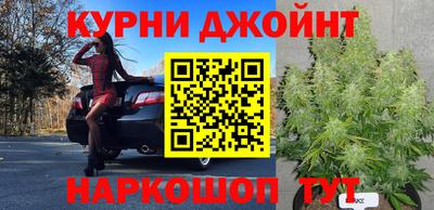 гидра Гатчина