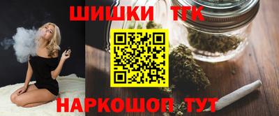 гидра Гатчина