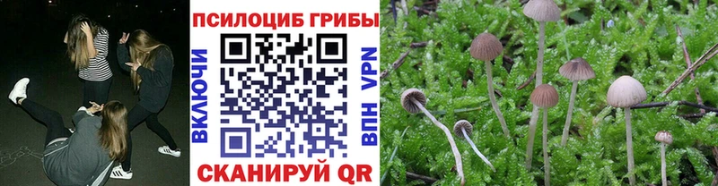 Псилоцибиновые грибы Cubensis  наркошоп  Назарово 