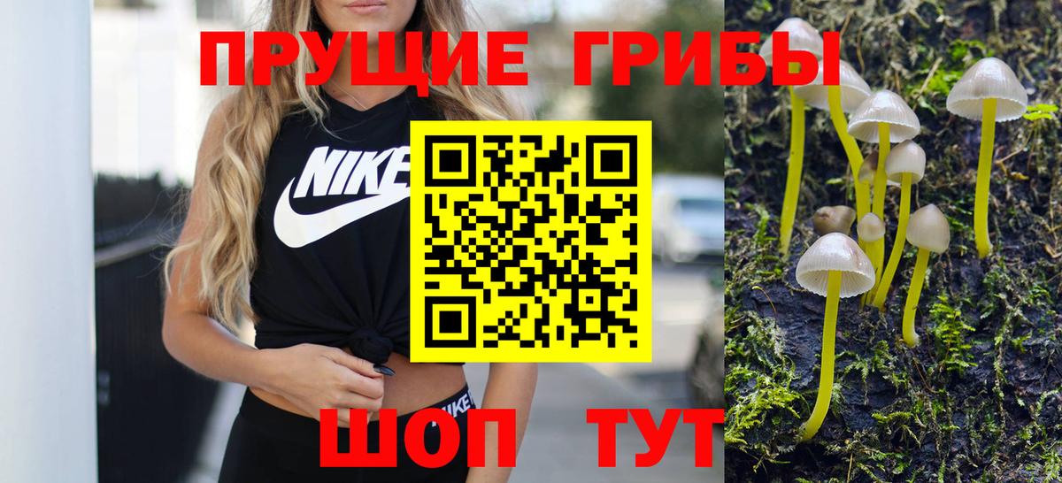 Назарово  сколько стоит  Вход с VPN  Галлюциногенные грибы ЛСД  Галлюциногенные грибы мухоморы 